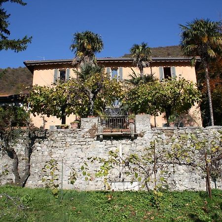 Antico Glicine B&B Maslianico Dış mekan fotoğraf