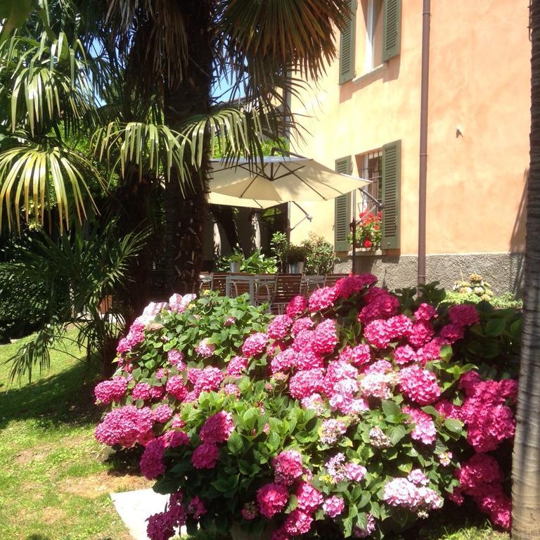 Antico Glicine B&B Maslianico Dış mekan fotoğraf